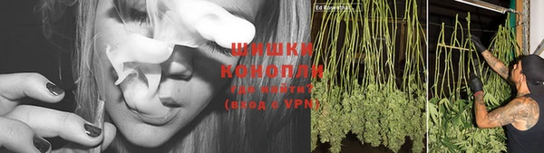 стаф Балахна