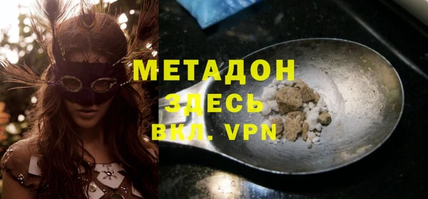 индика Арсеньев
