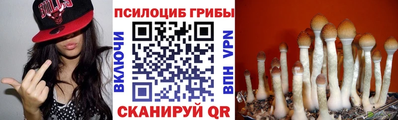 Псилоцибиновые грибы Psilocybe  наркота  Няндома 